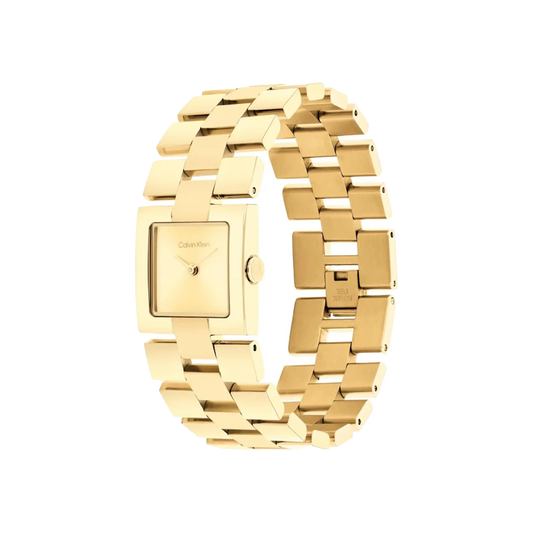 CALVIN KLEIN MERIDIAN